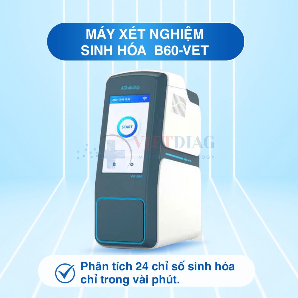 536275180_122112862166966587_5045511388371868604_n